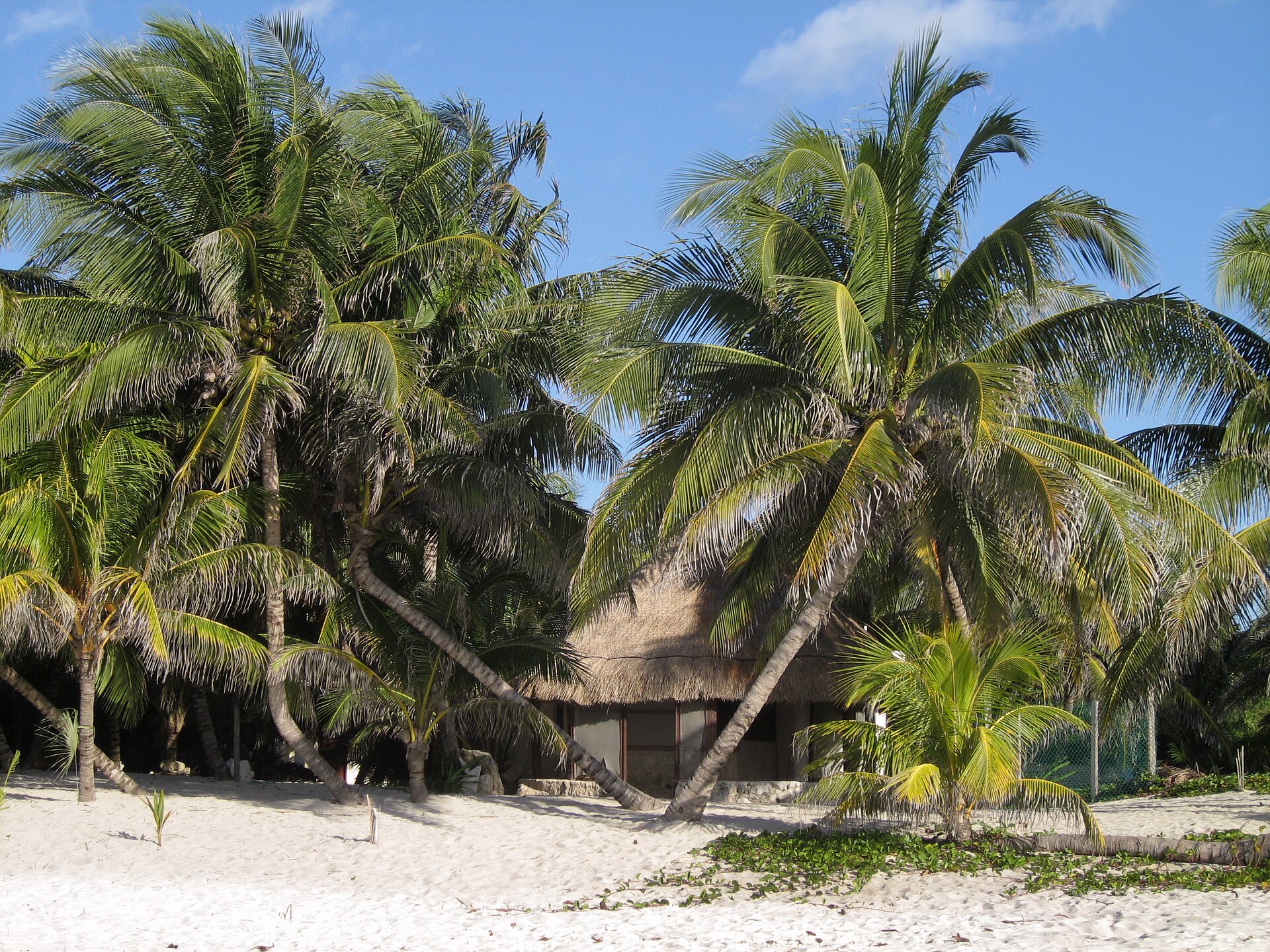 Riviera Maya
